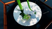 Get Only Up! (PC) Steam Key GLOBAL