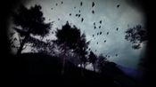 Slender: The Arrival (2015) (Xbox One) Xbox Live Key EUROPE for sale