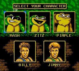 Battletoads & Double Dragon NES