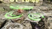Rockland VR for sale