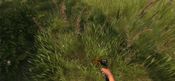 Serious Metal Detecting