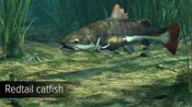 Buy Ultimate Fishing Simulator - Amazon River (DLC) (PC)  Steam Key GLOBAL
