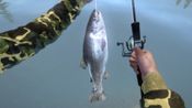 Buy Ultimate Fishing