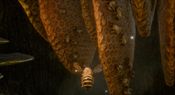 Bee Simulator