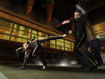 Catwoman Nintendo GameCube