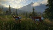 theHunter: Call of the Wild - Silver Ridge Peaks (DLC) Steam Key GLOBAL
