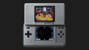 Get Animal Crossing: Wild World Nintendo DS