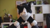 Konrad the Kitten - a virtual but real cat