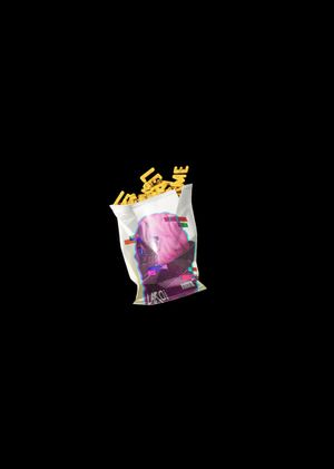 Fortnite - Get My Bag Back Bling (DLC) Epic Games Key GLOBAL