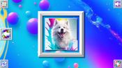 Color Splash: Dogs Steam Key (PC) GLOBAL