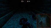 Kolbeinn for sale