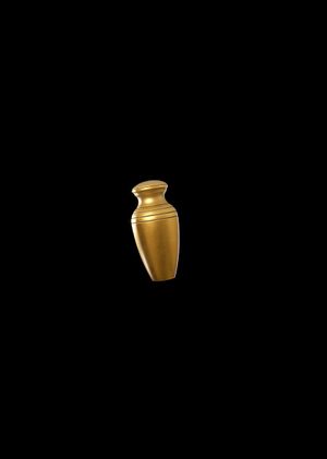 Fortnite - The Urn Back Bling (DLC) Epic Games Key GLOBAL
