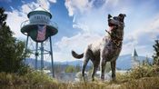 Far Cry Insanity Bundle XBOX LIVE Key UNITED STATES for sale
