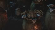 Get Aliens Colonial Marines Limited Edition Xbox 360
