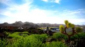 Buy Tourist Bus Simulator Steam Key GLOBAL