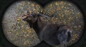 Cabela's Big Game Hunter Pro Hunts Steam Key GLOBAL for sale