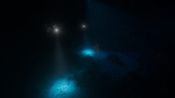 Buy Beyond Blue Steam Key GLOBAL