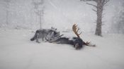 Get Northern Lights Steam Key GLOBAL