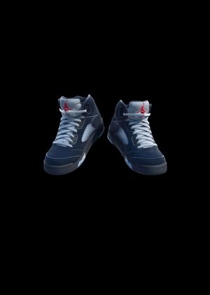 Fortnite - Air Jordan 5 'Black Metallic' Shoes (DLC) Epic Games Key GLOBAL