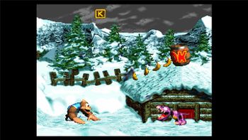 Redeem Donkey Kong Country 3: Dixie Kong's Double Trouble Nintendo 3DS