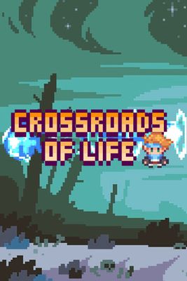 Crossroads of life game cover