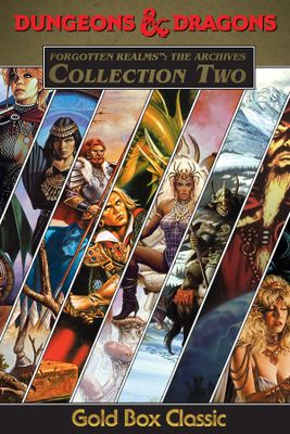 Forgotten Realms: The Archives - Collection Two game cover