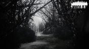Kholat (Nintendo Switch) Nintendo Key UNITED STATES for sale