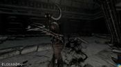 Redeem ELDERBORN