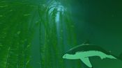Buy ABZU Steam Key LATAM