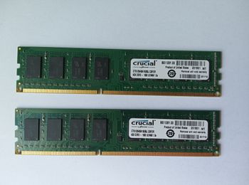 Crucial 8 GB (2 x 4 GB) DDR3-1600 Green PC RAM