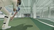 Cricket 22 XBOX LIVE Key UNITED STATES