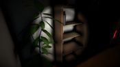 Get Bernie’s Nightmare (PC) Steam Key GLOBAL