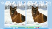 Buy Cute Dogs (PC) Steam Key GLOBAL