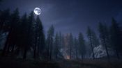 Buy Nightwalker (PC) Steam Key GLOBAL