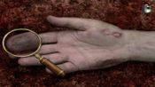 The Sherlock Holmes Collection (PC) Steam Key EUROPE