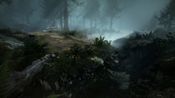 Get Mavericks: Proving Grounds
