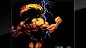 ACA NEOGEO WORLD HEROES PERFECT