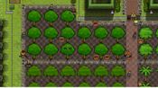 Redeem Prison Architect - Going Green  (DLC) Steam Key GLOBAL