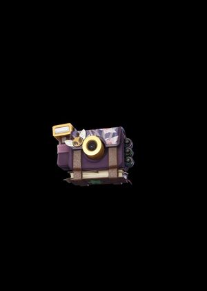 Fortnite - Snapshot Pack Back Bling (DLC) Epic Games Key GLOBAL