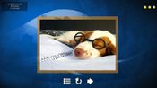 Get Puppy Dog: Jigsaw Puzzles Steam Key GLOBAL