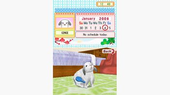 Petz Bunnyz Nintendo DS