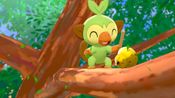 Pokemon Sword (Nintendo Switch) eShop Key UNITED STATES