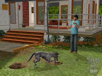 Redeem The Sims 2: Pets Game Boy Advance
