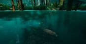 Get Legendary Hunter VR