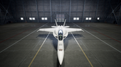 Buy Ace Combat 7: Skies Unknown - F/A-18F Super Hornet Block III Set (DLC) XBOX LIVE Key EUROPE