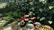 Get The Elder Scrolls V: Skyrim Special Edition