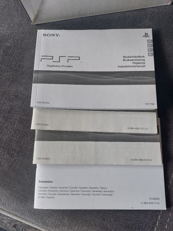 psp street apynaujė