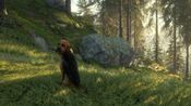 Get theHunter: Call of the Wild™ - Weapons and Companions Bundle (DLC) XBOX LIVE Key UNITED STATES