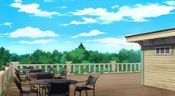 Get Driftwood The Visual Novel