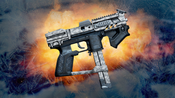 Rogue Company - Nuclear Winter Secondary Wrap Gun Skin (DLC) Official Website Key GLOBAL